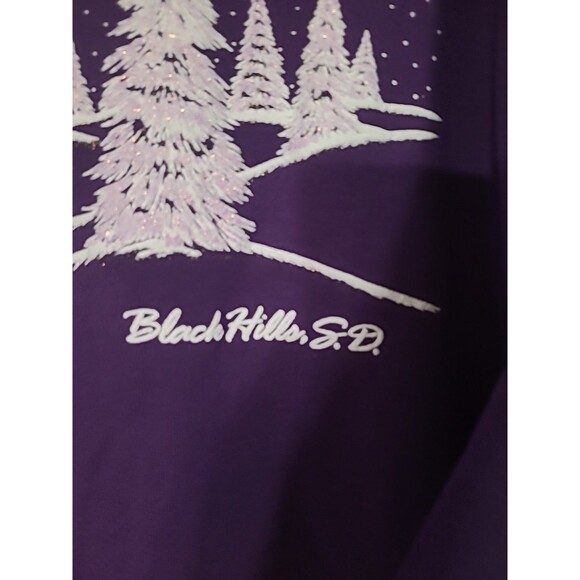 Vtg Fruit of the Loom FOTL Sweatshirt 2XL Black Hills South Dakota Made in USA - Picture 6 of 16